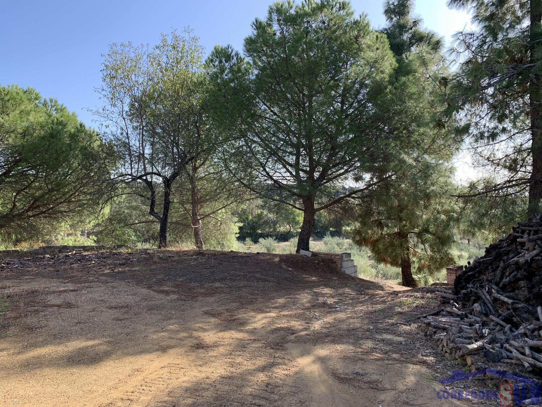 Venta de finca rústica en Córdoba