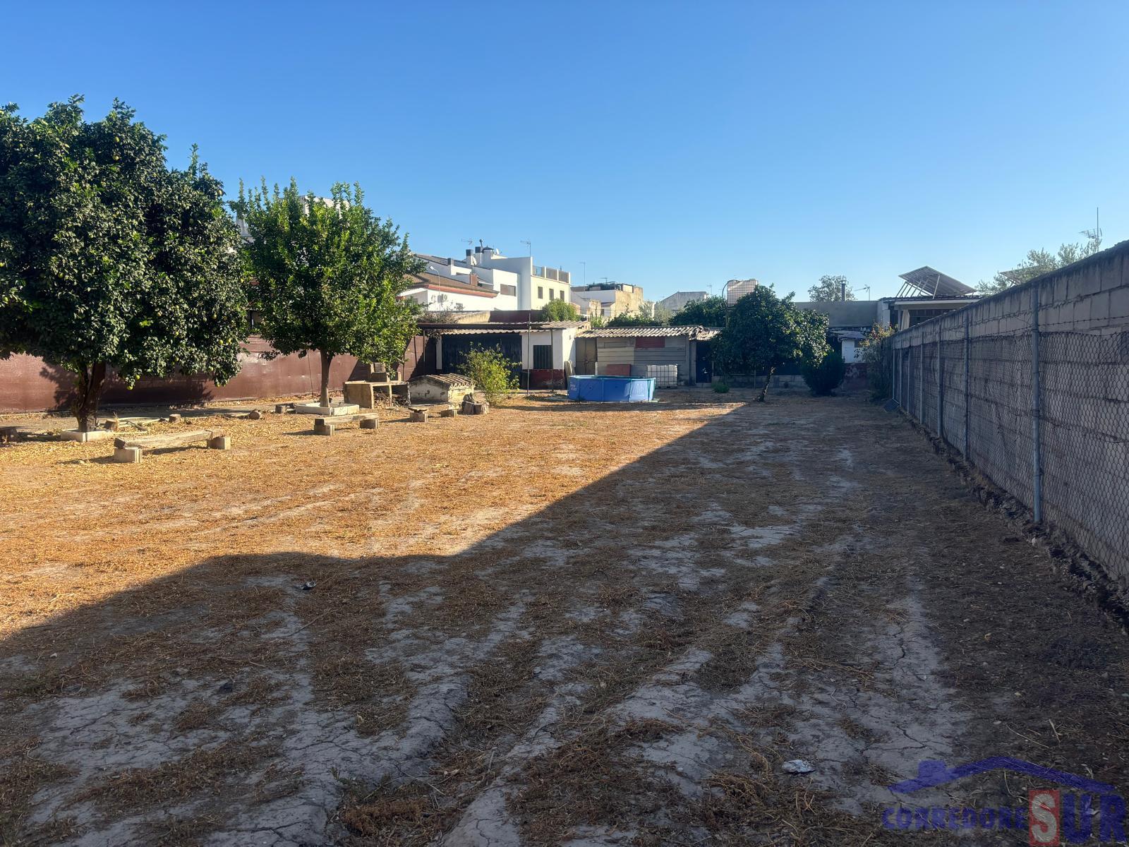 Venta de finca rústica en Córdoba