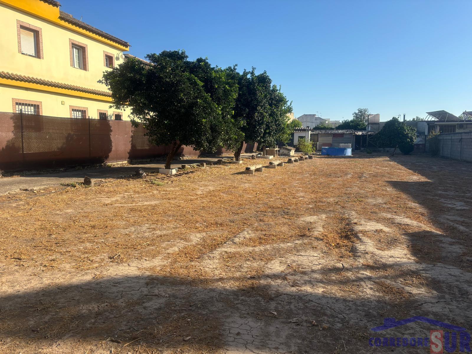 Venta de finca rústica en Córdoba