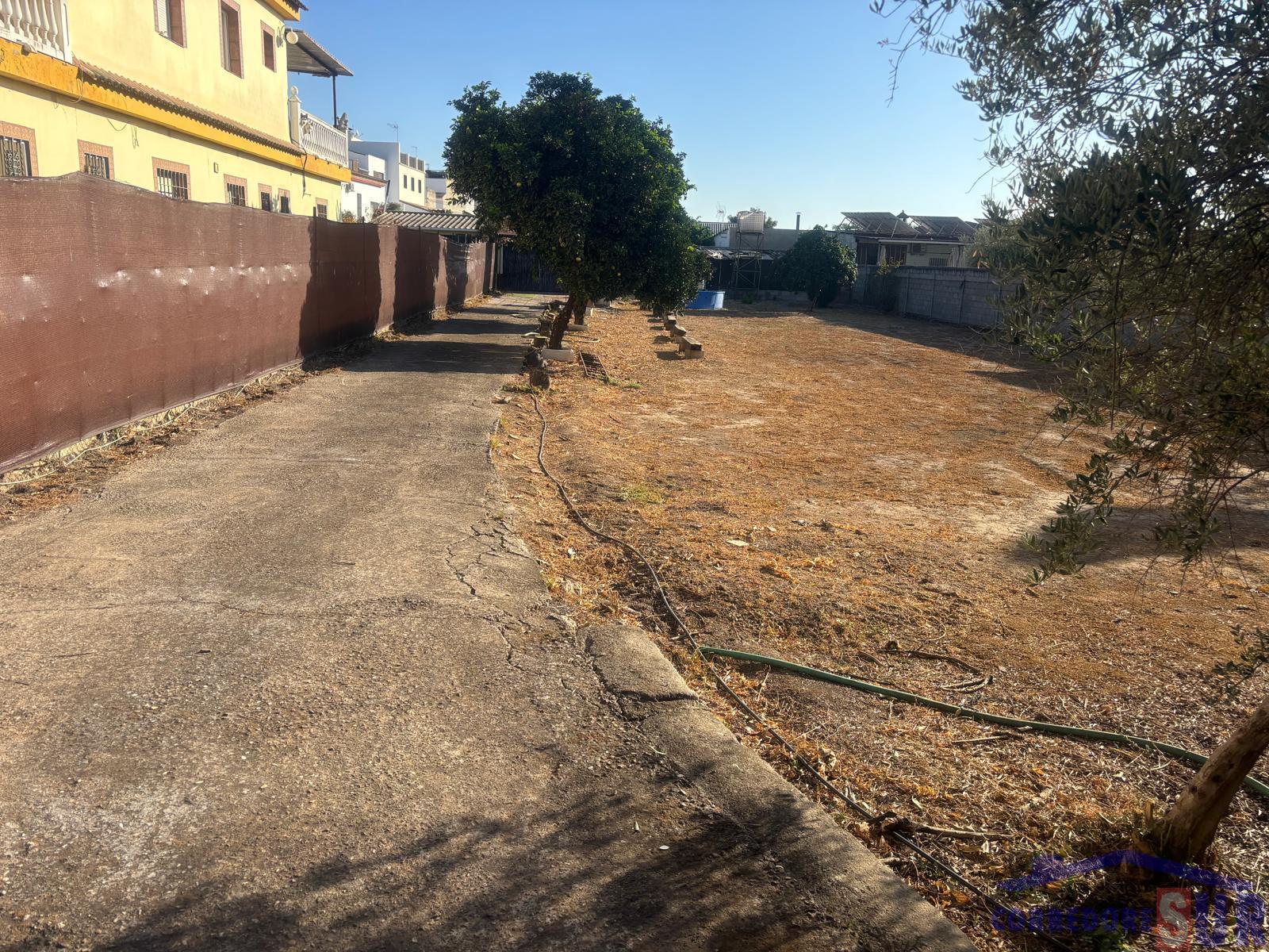 Venta de finca rústica en Córdoba
