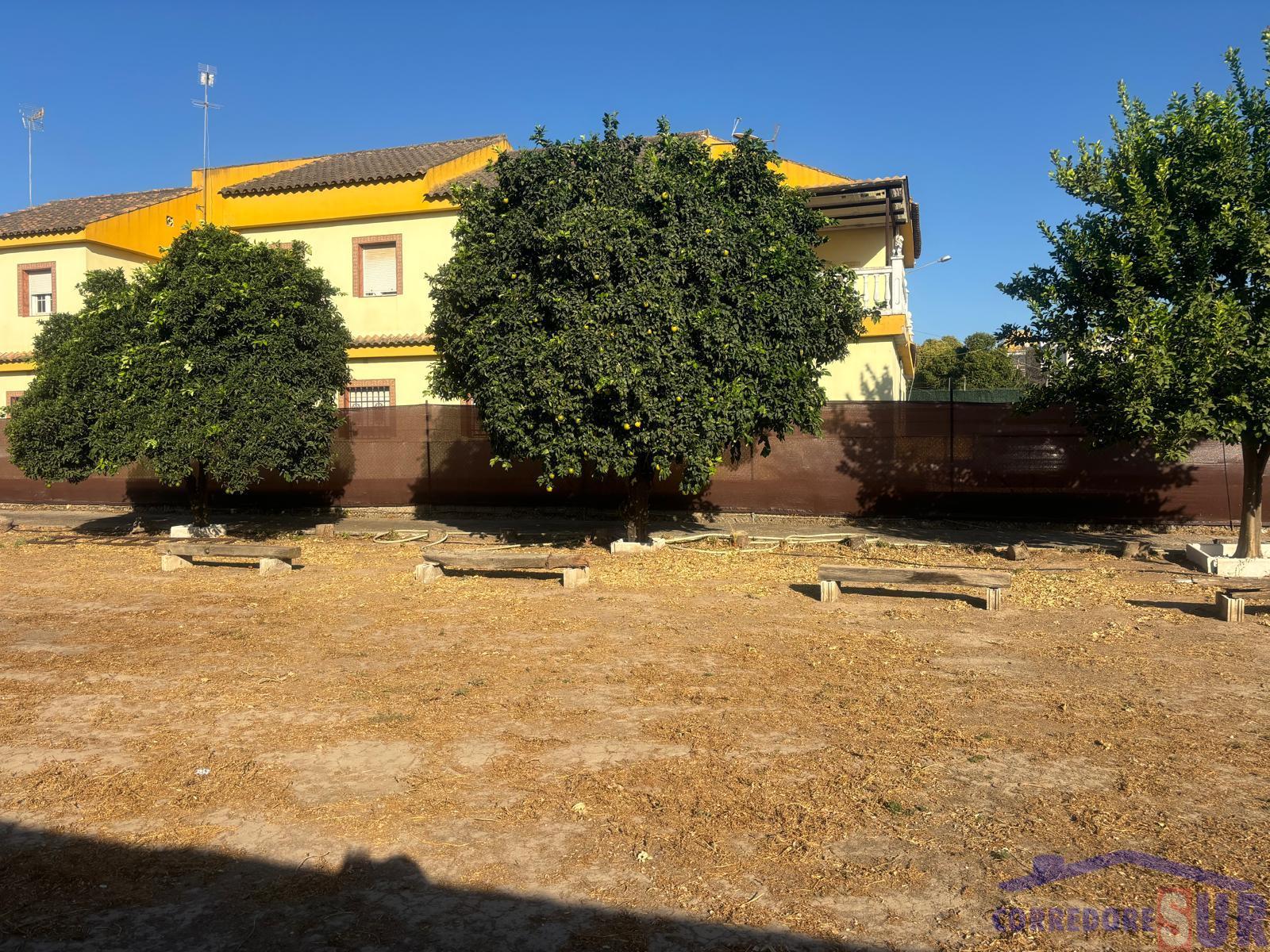 Venta de finca rústica en Córdoba