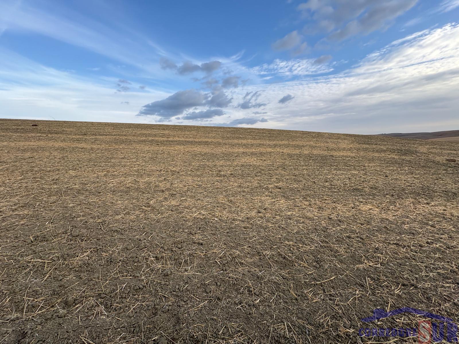 Venta de finca rústica en Córdoba