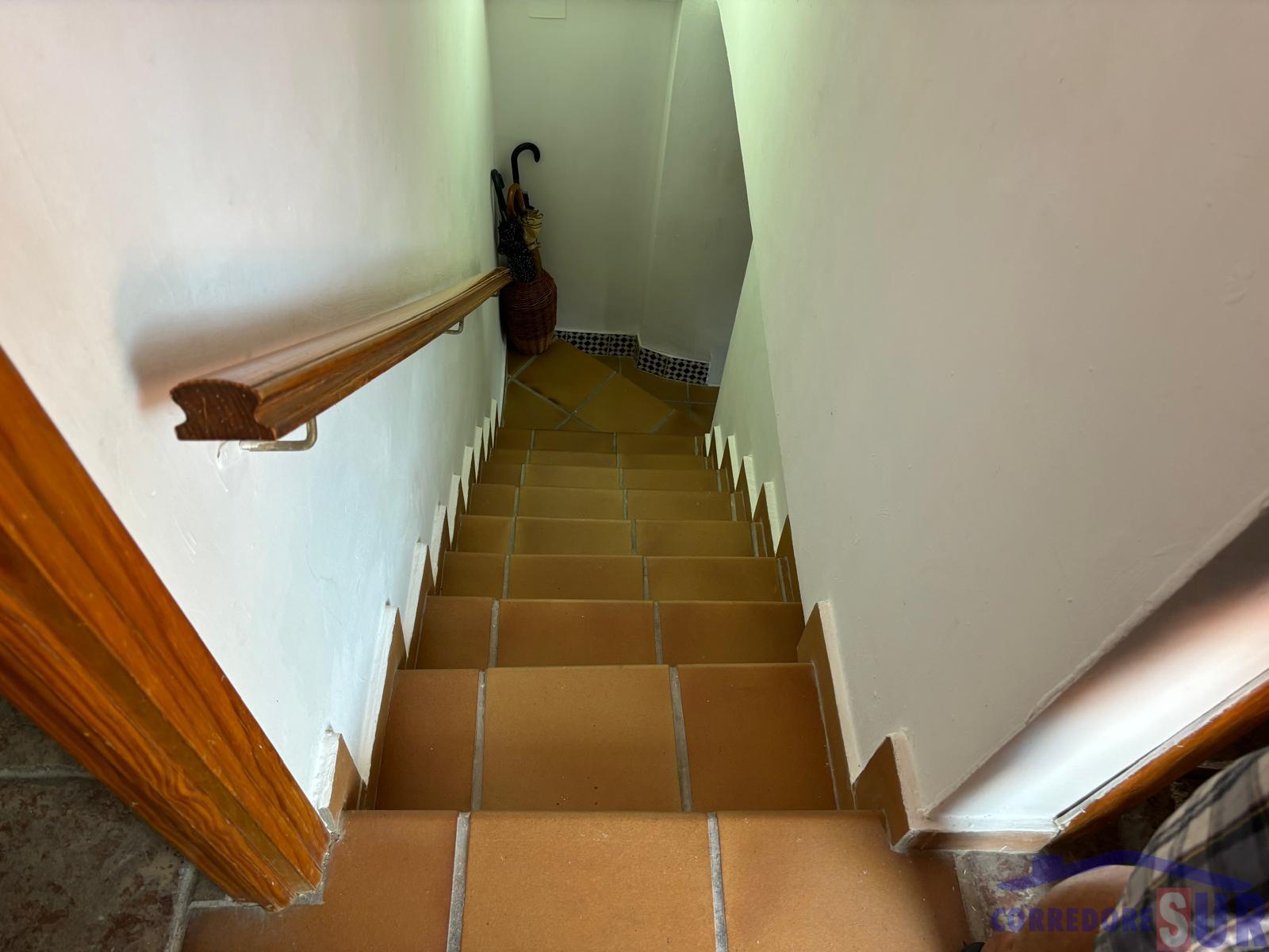 Venta de finca rústica en Córdoba