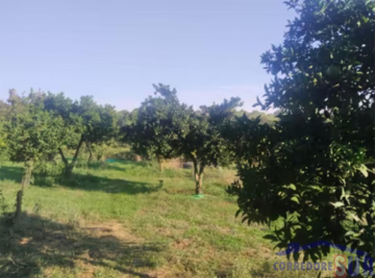 Venta de finca rústica en Montoro