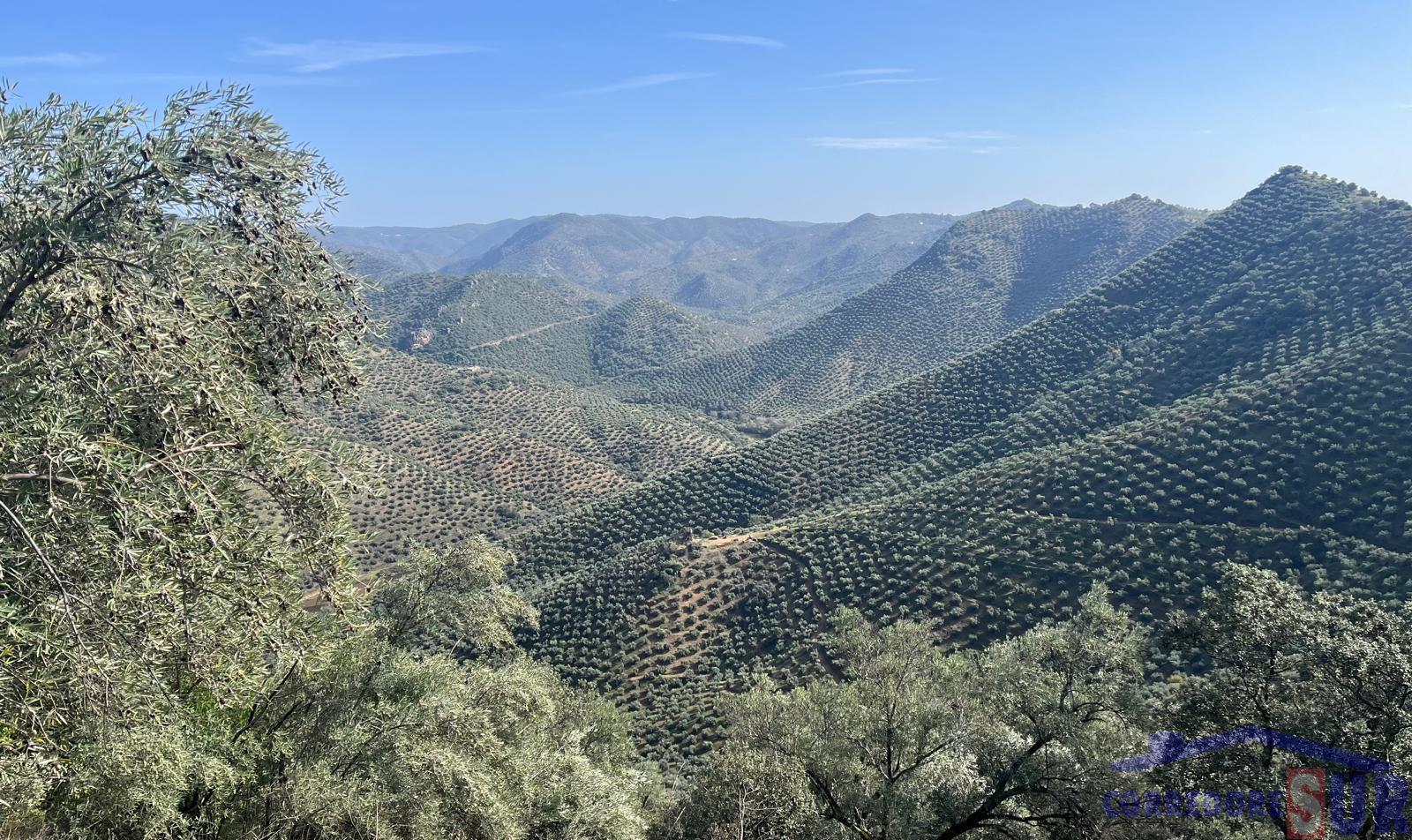 Venta de finca rústica en Córdoba