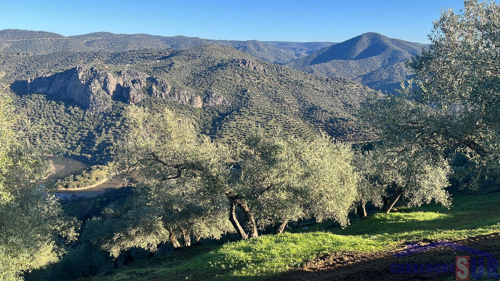 Venta de finca rústica en Córdoba