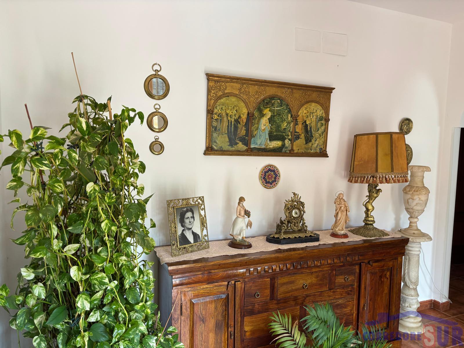 Venta de finca rústica en Córdoba