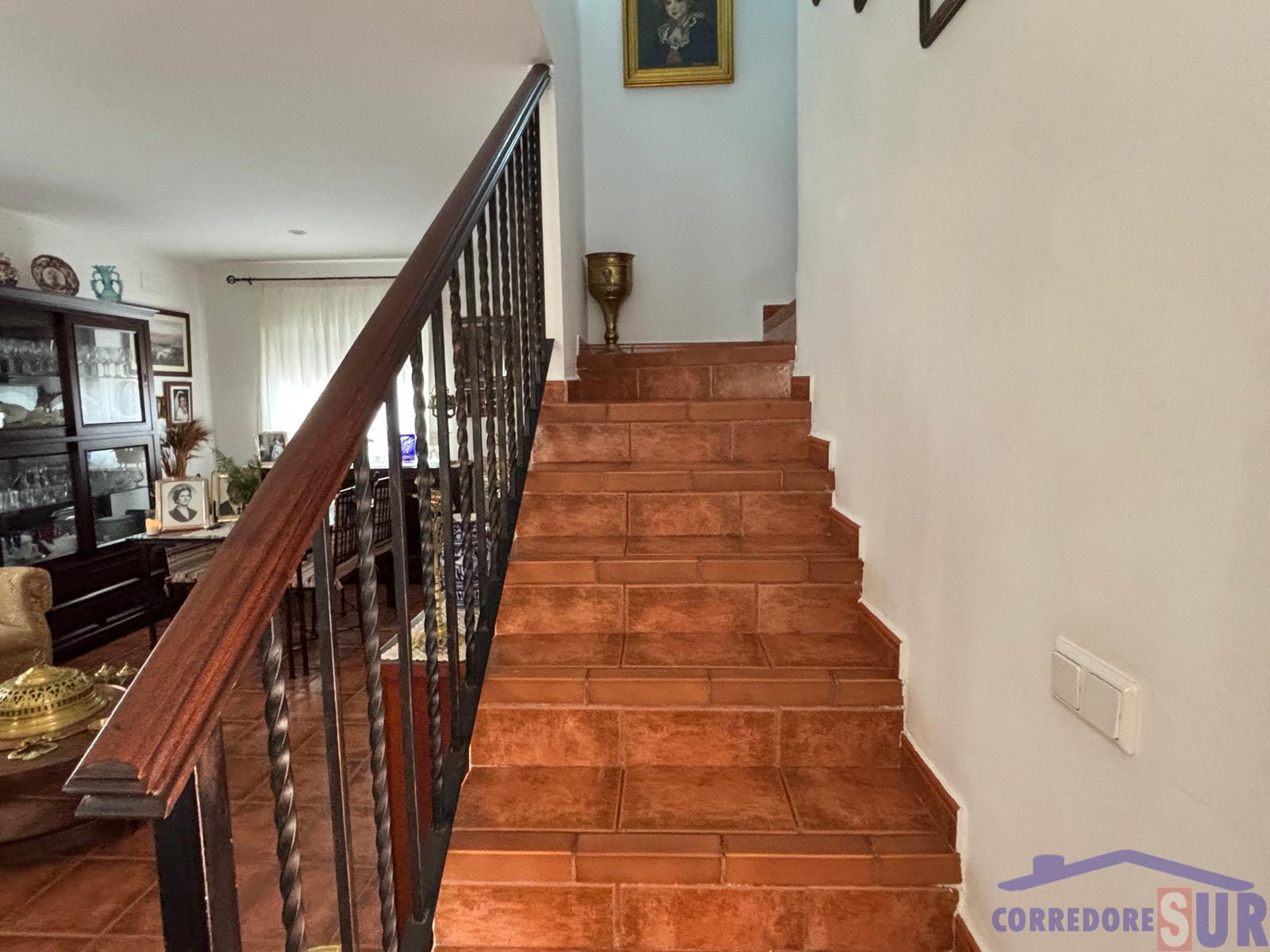 Venta de finca rústica en Córdoba