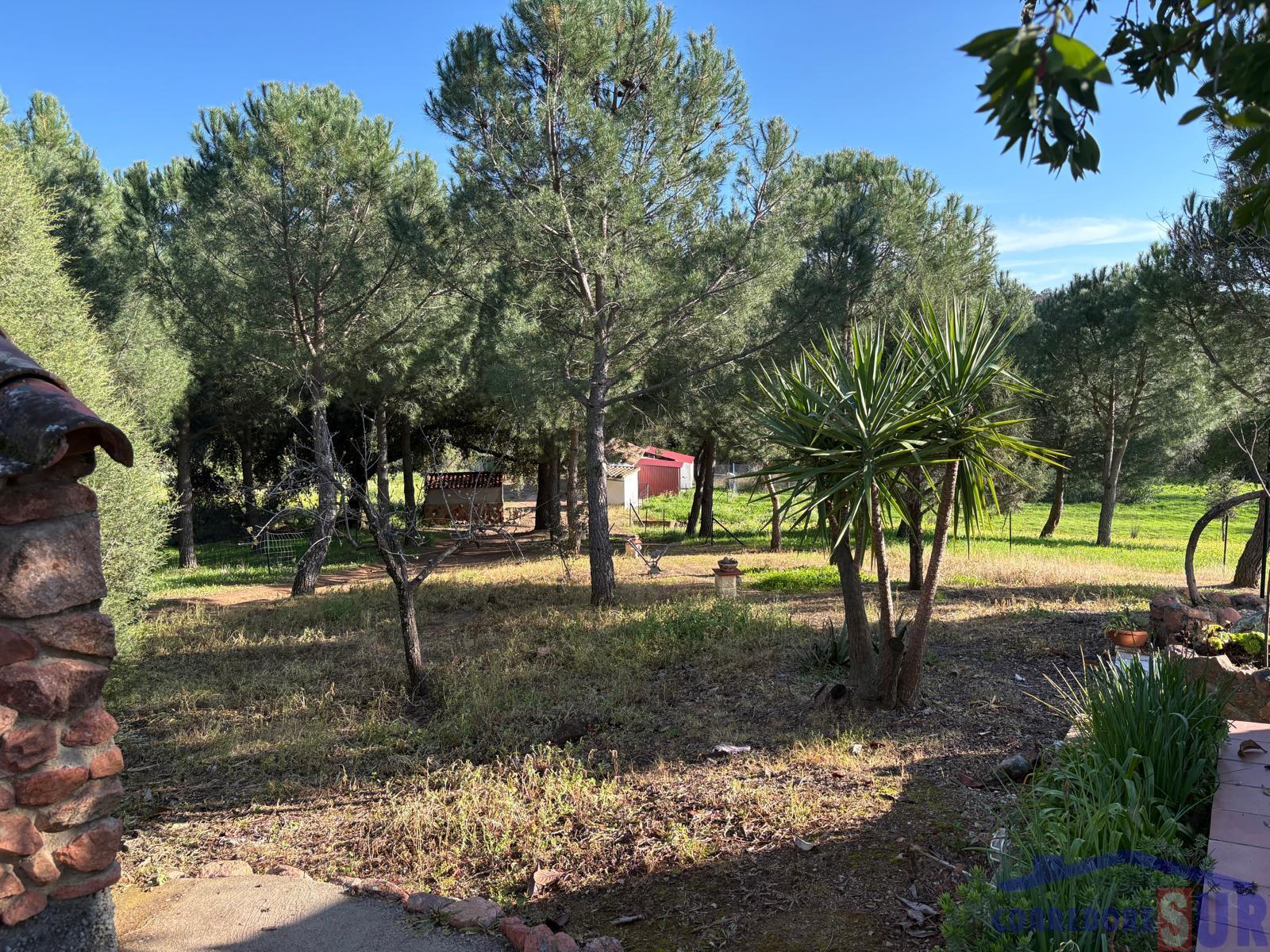 For sale of rural property in Córdoba