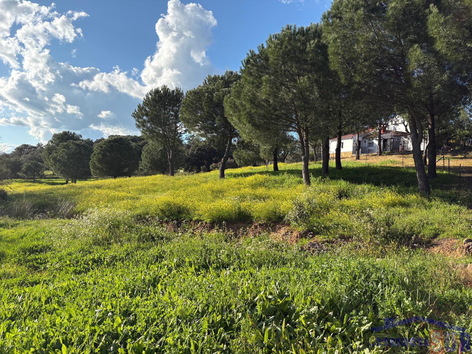 For sale of rural property in Córdoba