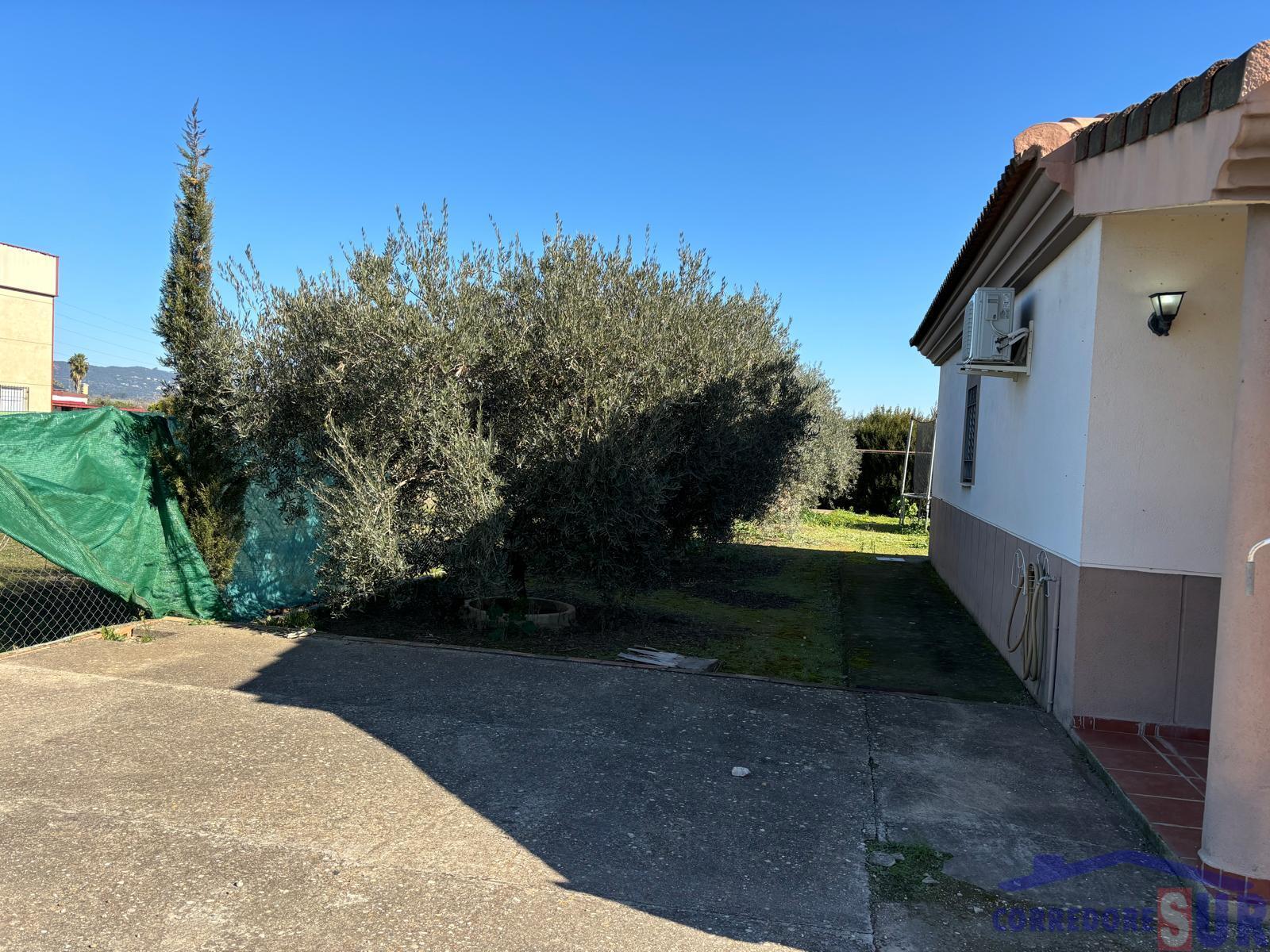 Venta de finca rústica en Córdoba