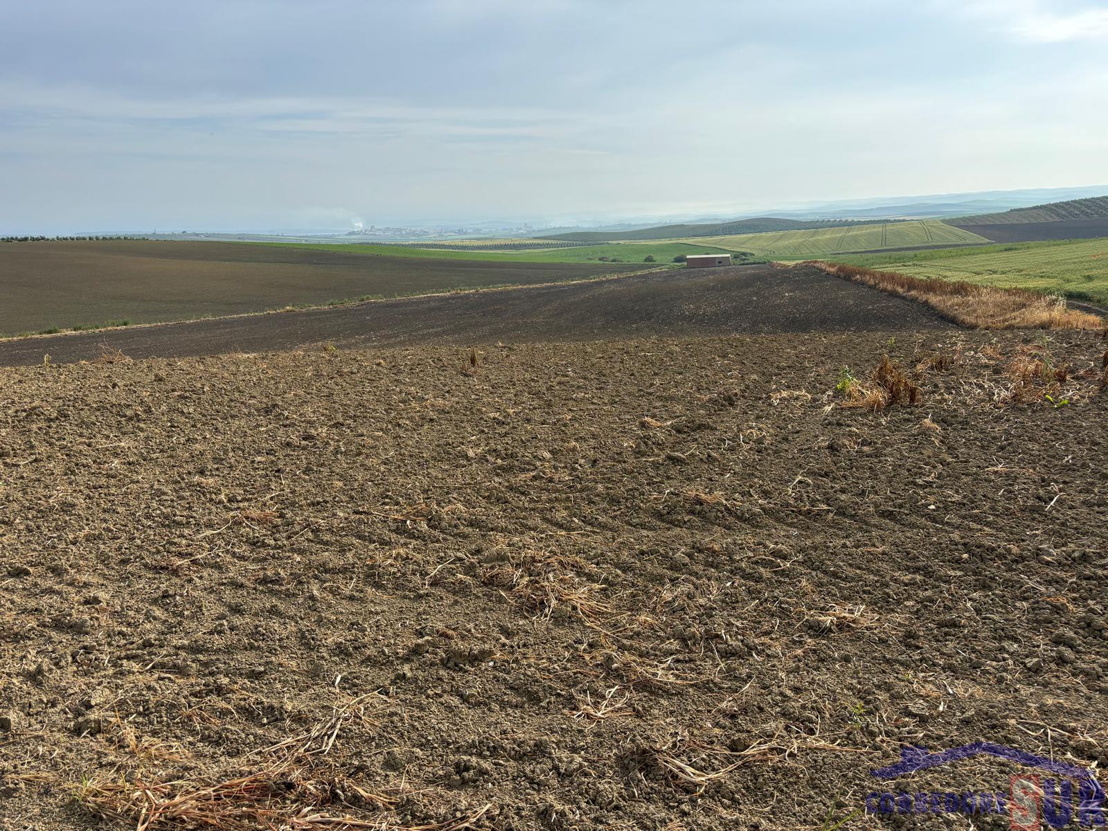 Venta de finca rústica en Córdoba