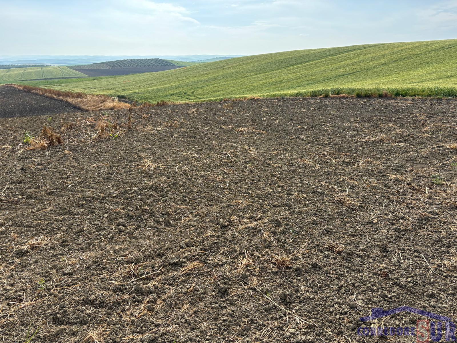 Venta de finca rústica en Córdoba