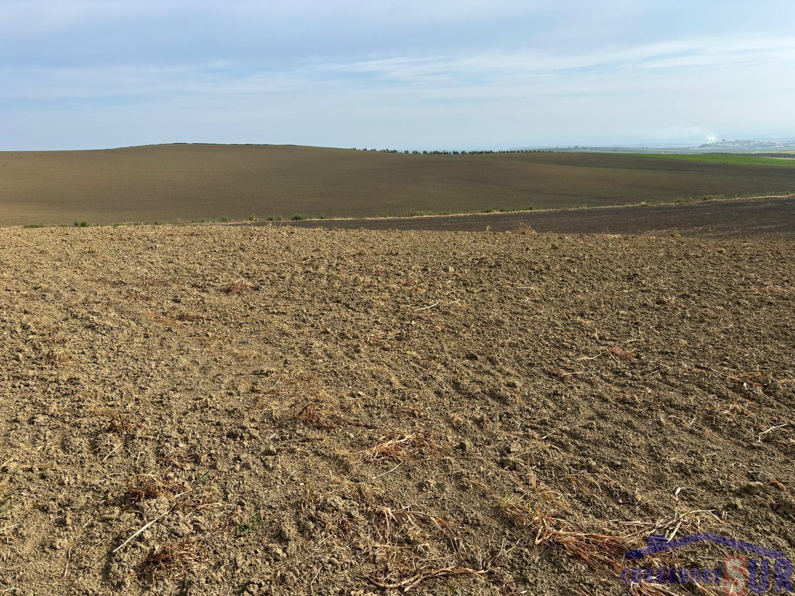 Venta de finca rústica en Córdoba