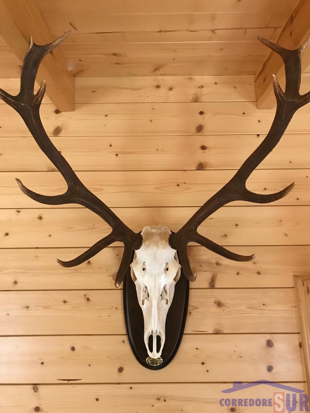 Venta de finca rústica en Córdoba