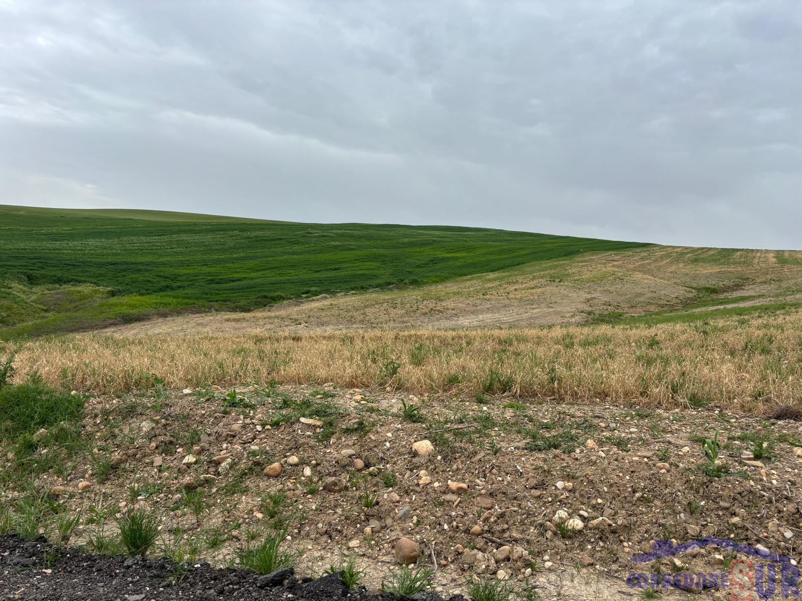 Venta de finca rústica en Córdoba