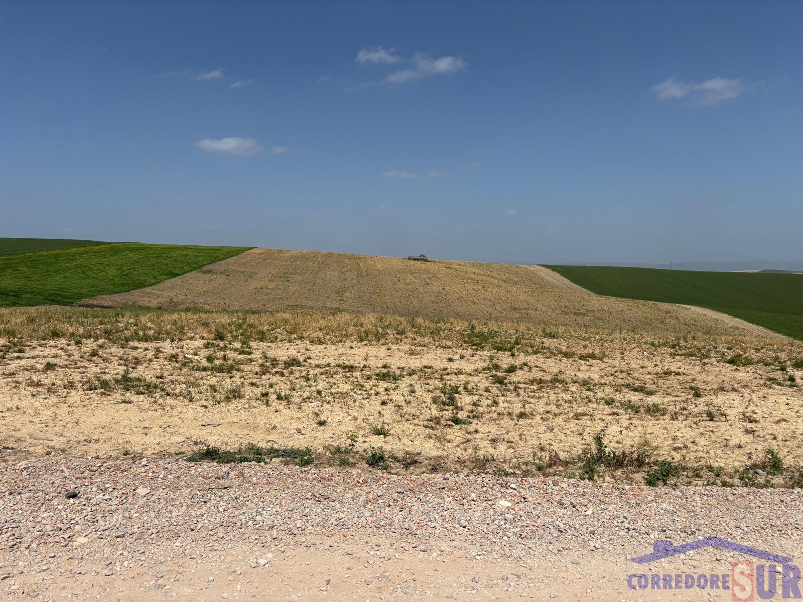 Venta de finca rústica en Córdoba