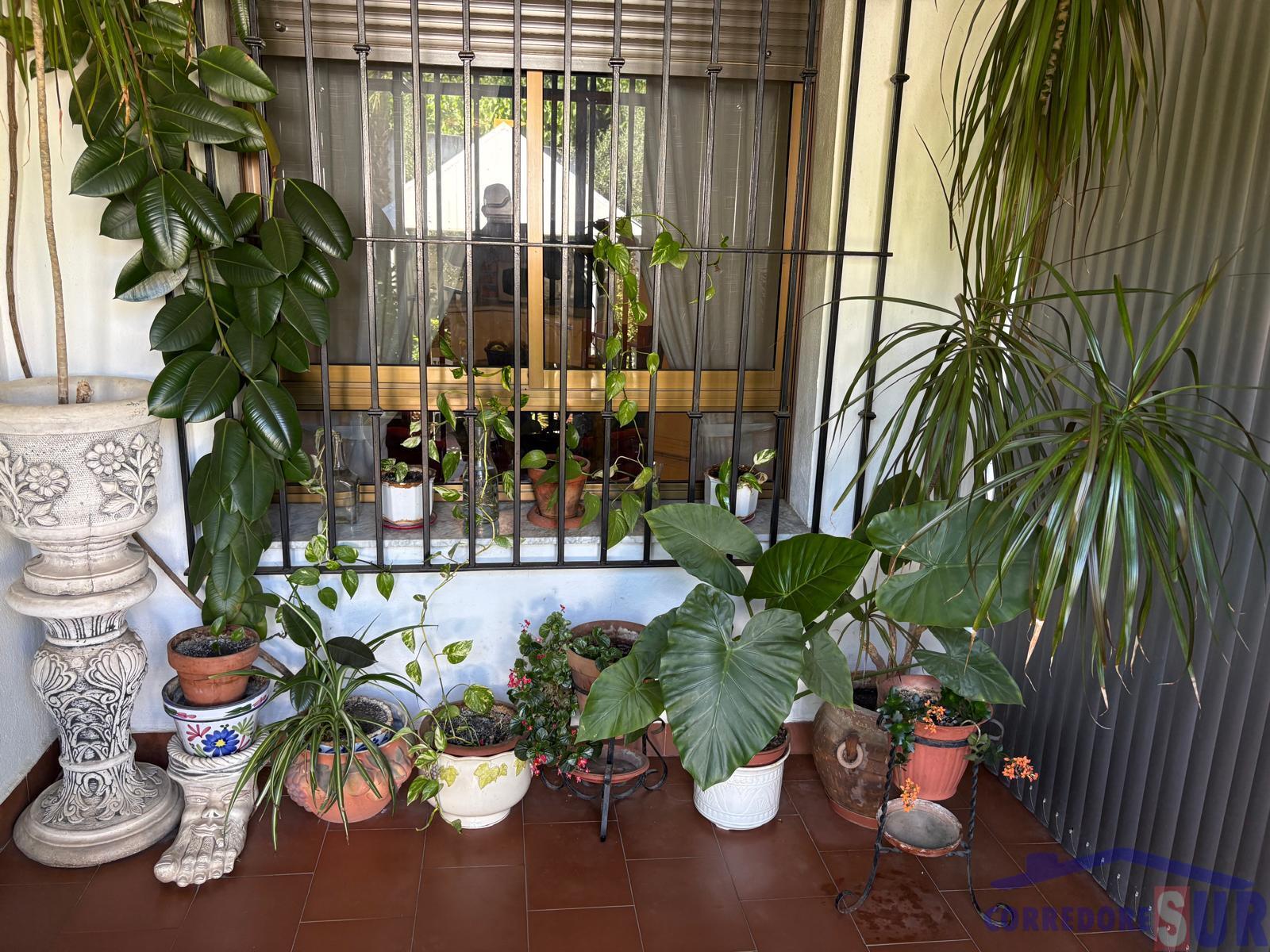Venta de chalet en Andújar