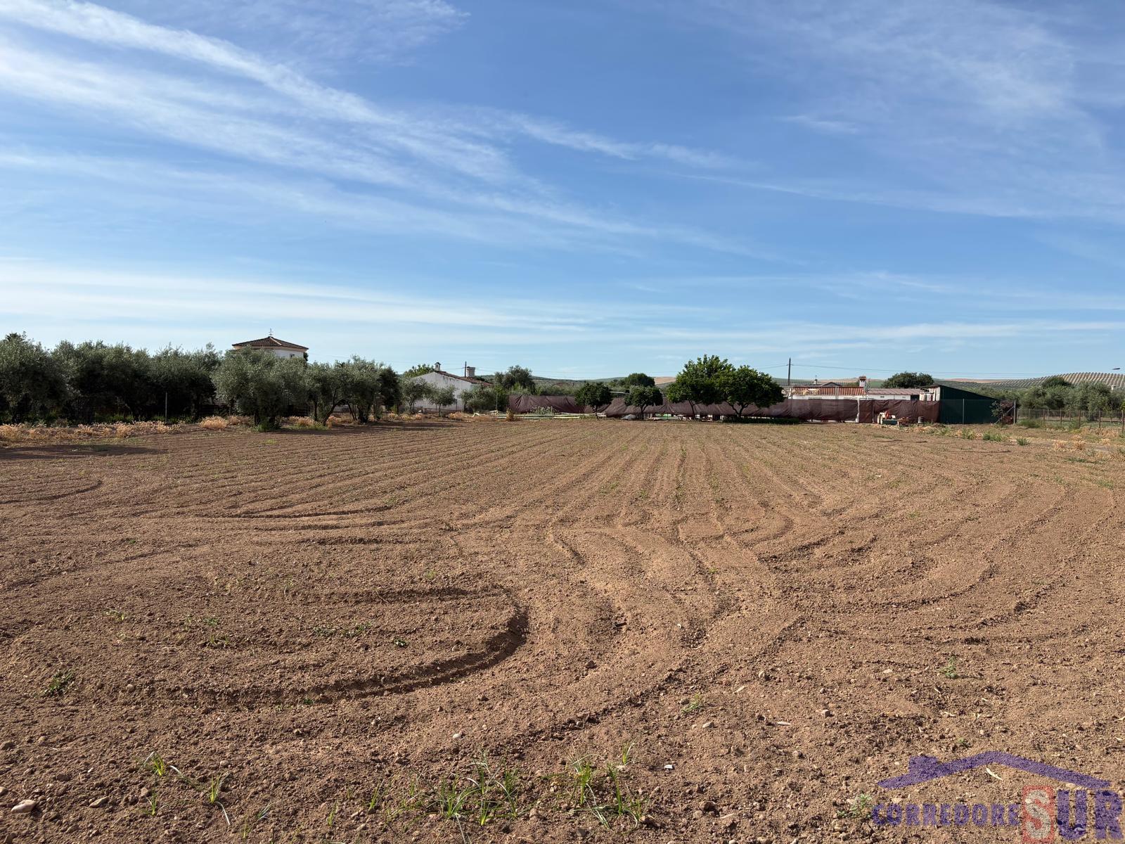 Venta de finca rústica en Córdoba