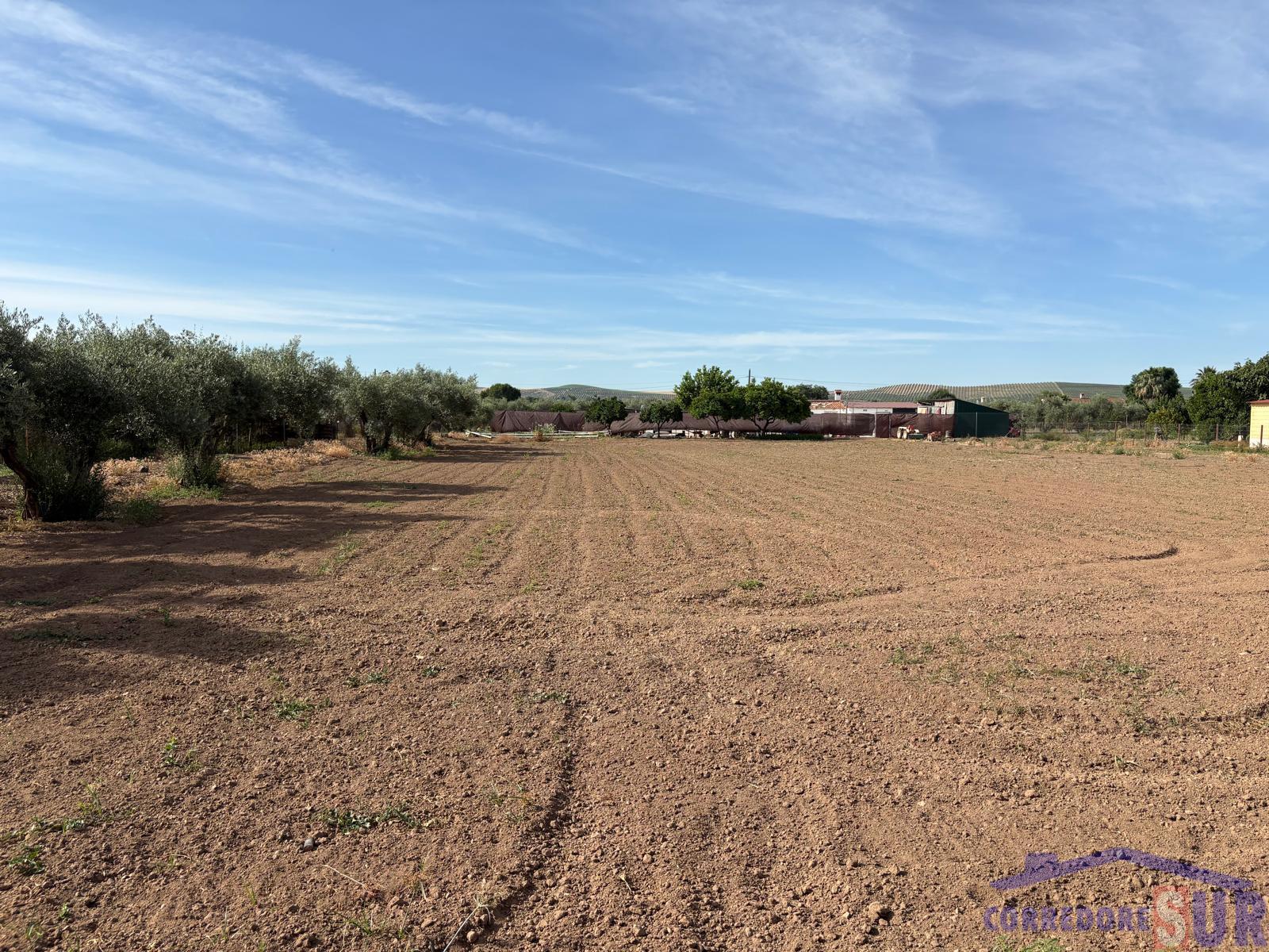 Venta de finca rústica en Córdoba