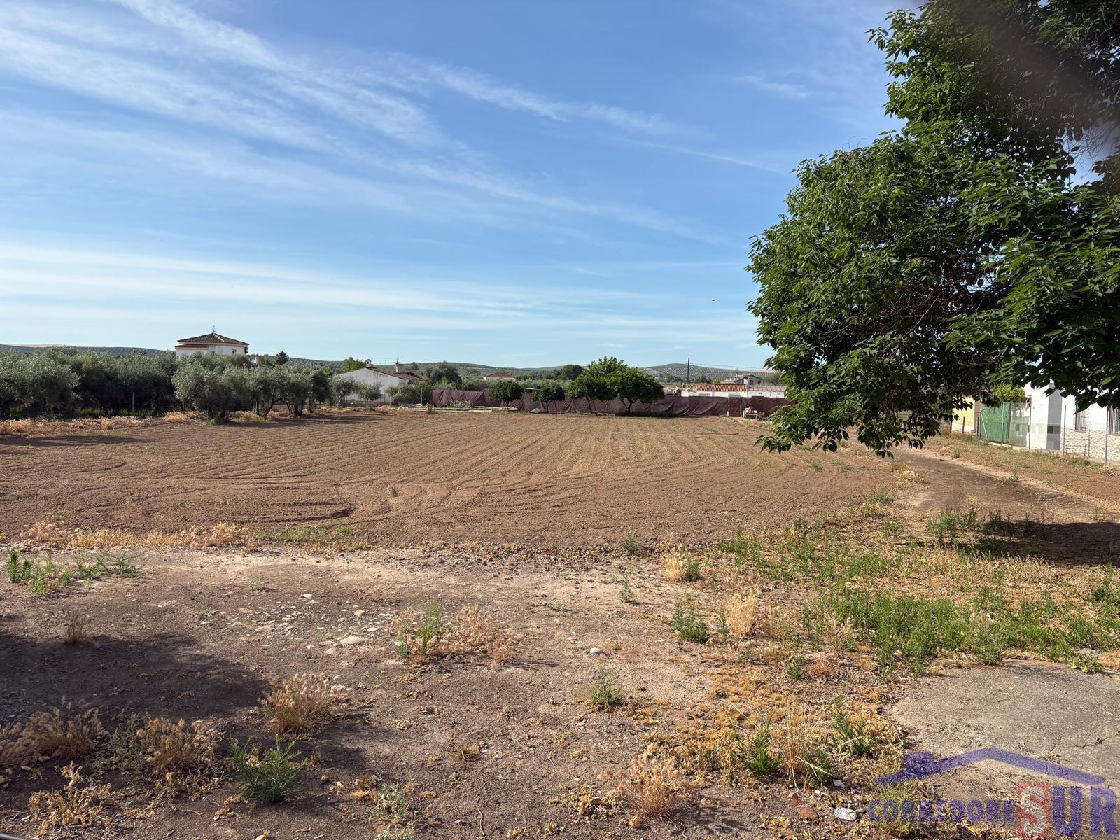 Venta de finca rústica en Córdoba