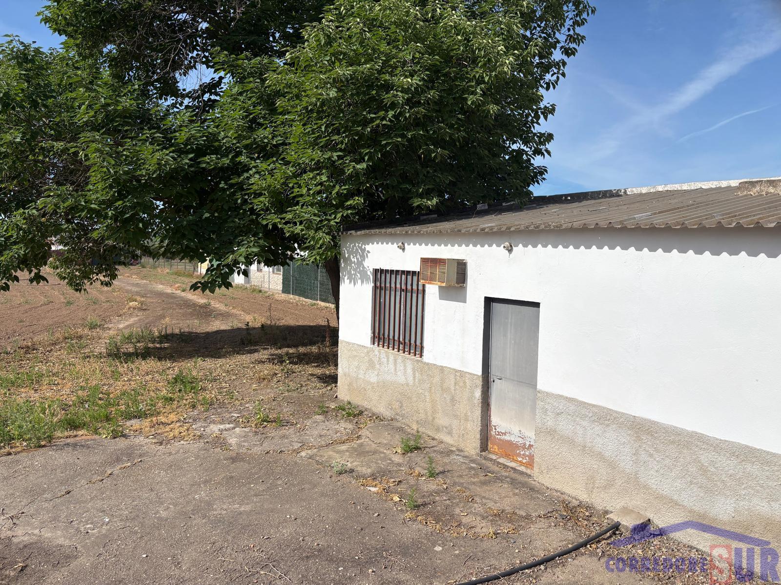 Venta de finca rústica en Córdoba