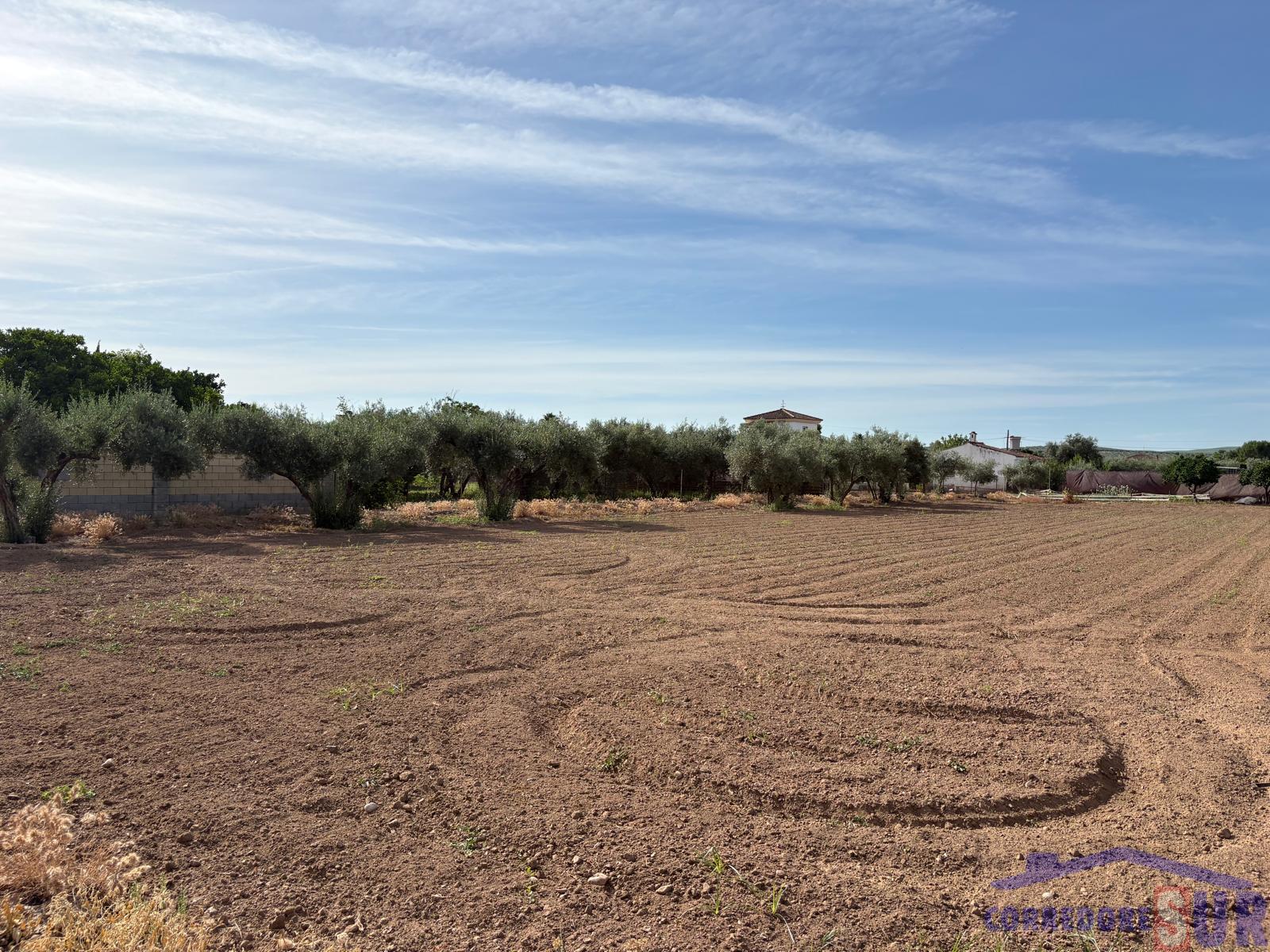Venta de finca rústica en Córdoba