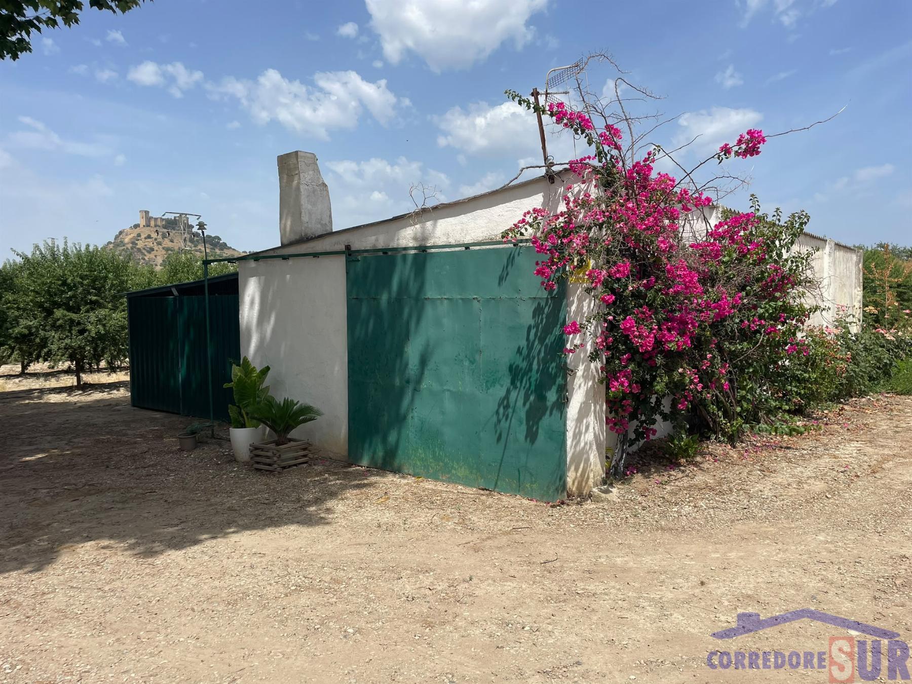 Venta de finca rústica en Córdoba