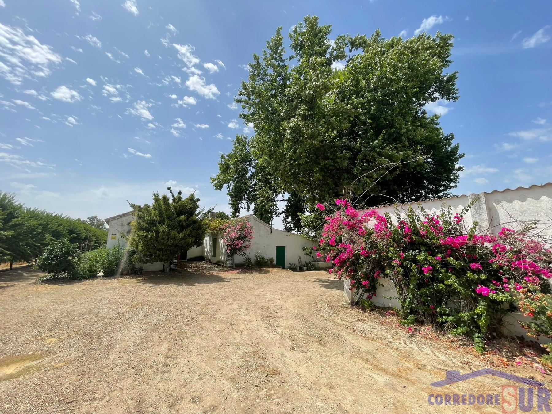 Venta de finca rústica en Córdoba