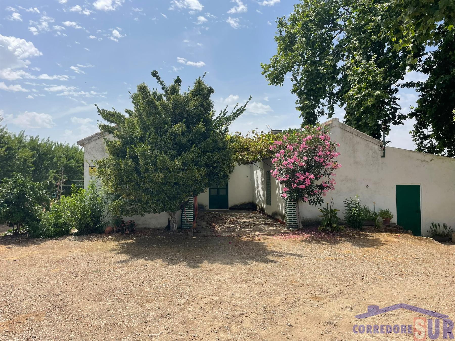 Venta de finca rústica en Córdoba