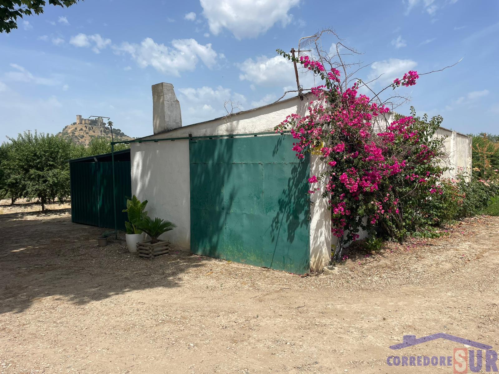 Venta de finca rústica en Córdoba
