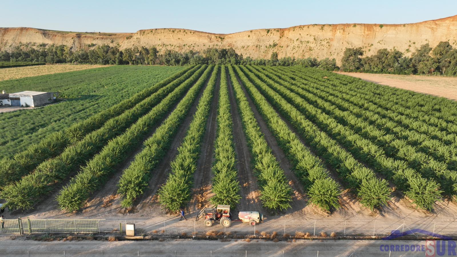 Venta de finca de recreo en Córdoba