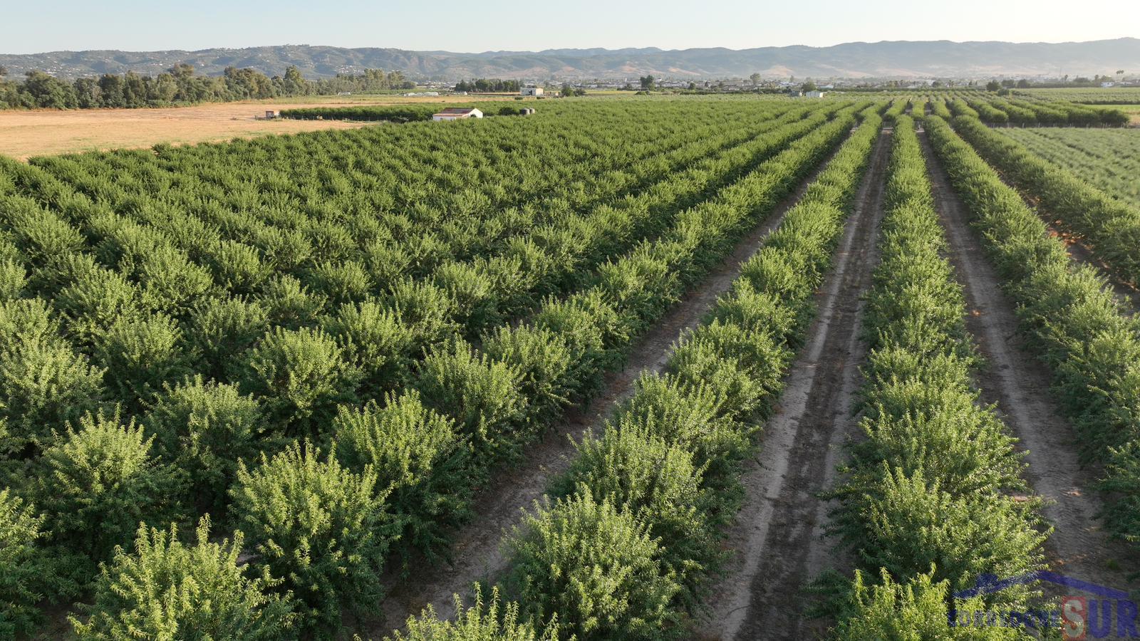 Venta de finca de recreo en Córdoba