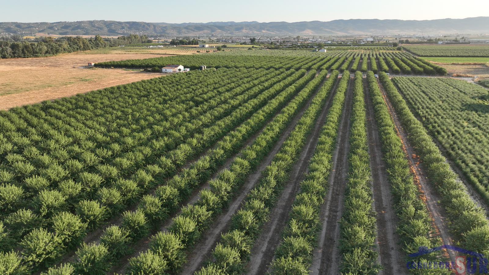 Venta de finca de recreo en Córdoba