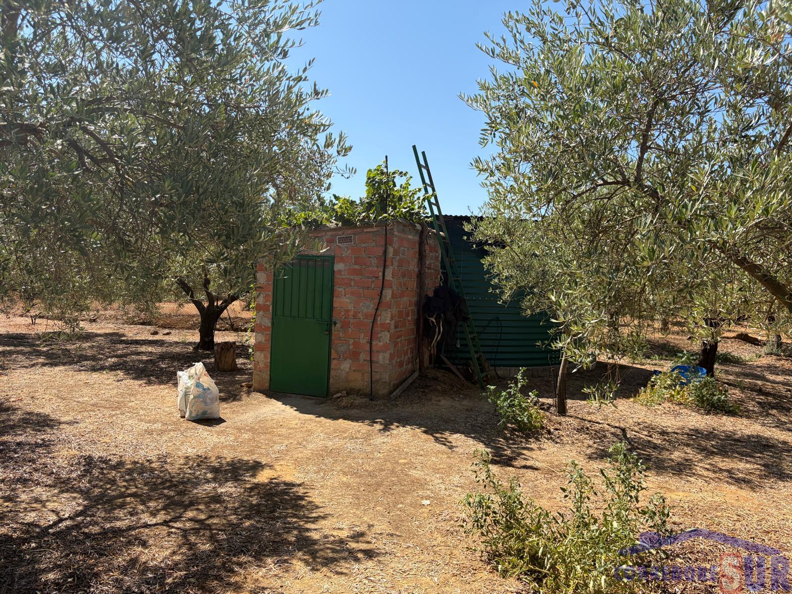 Venta de finca rústica en Córdoba