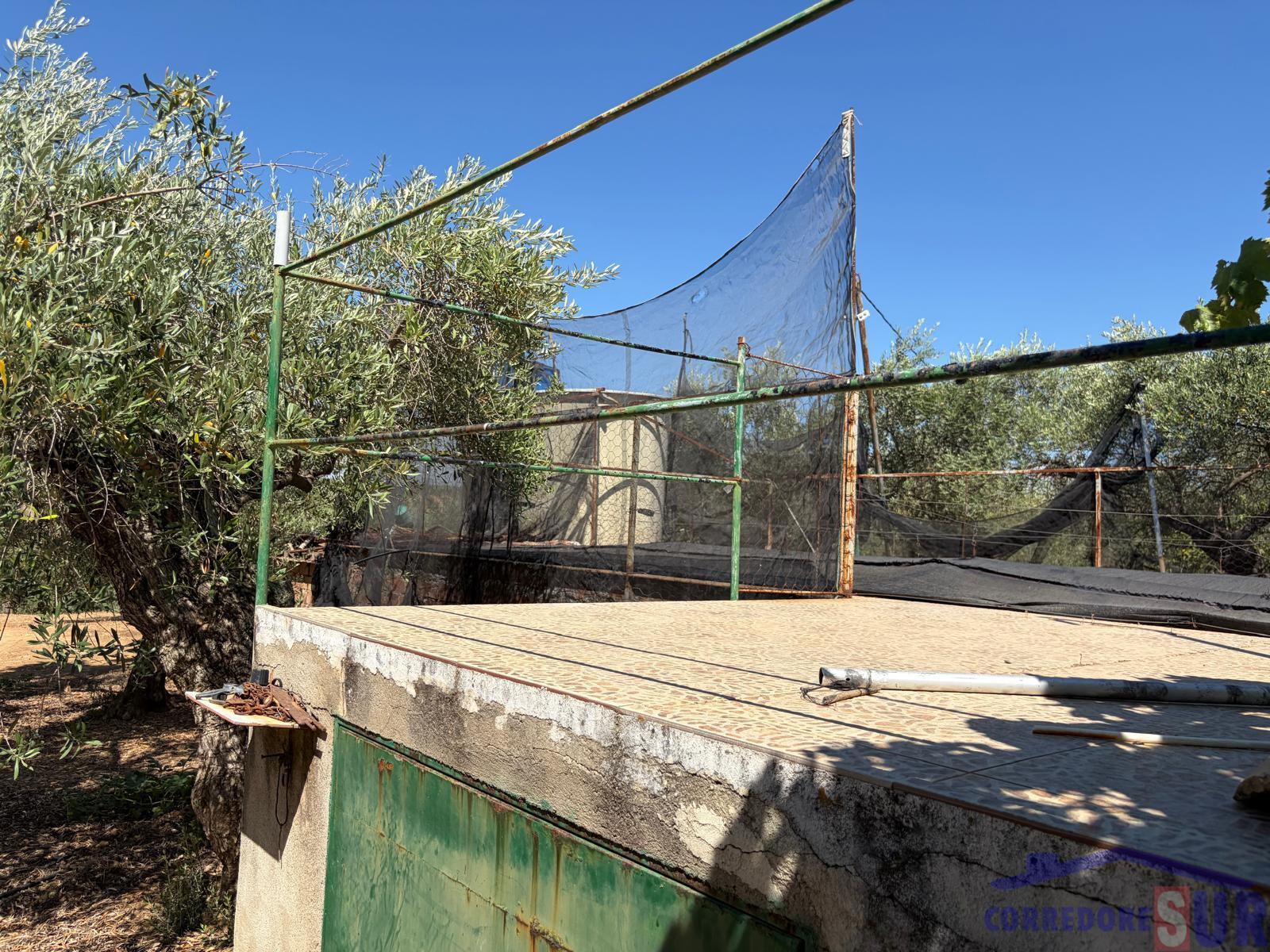 Venta de finca rústica en Córdoba