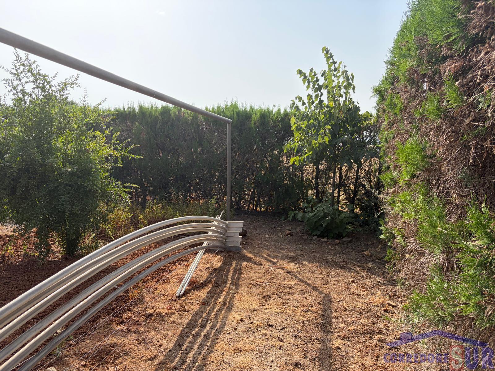 Venta de finca de recreo en Córdoba