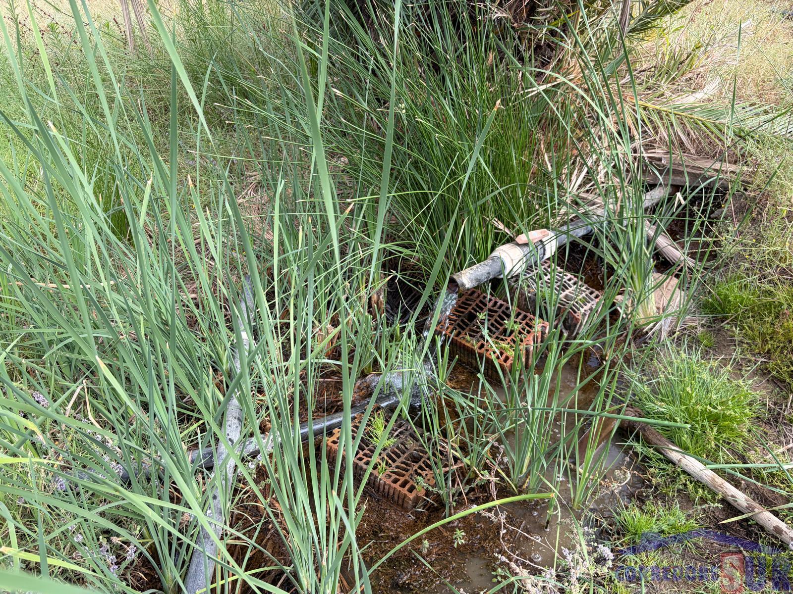 Venta de finca de recreo en Córdoba