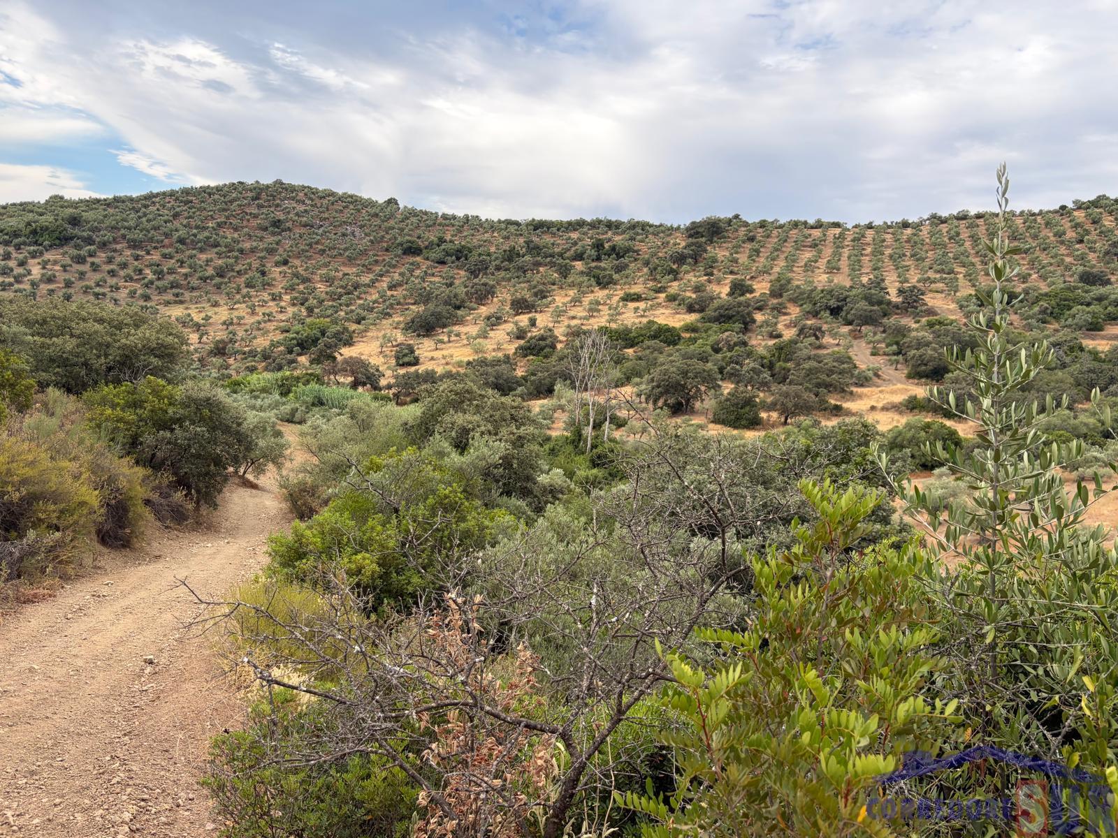 Venta de finca de recreo en Córdoba