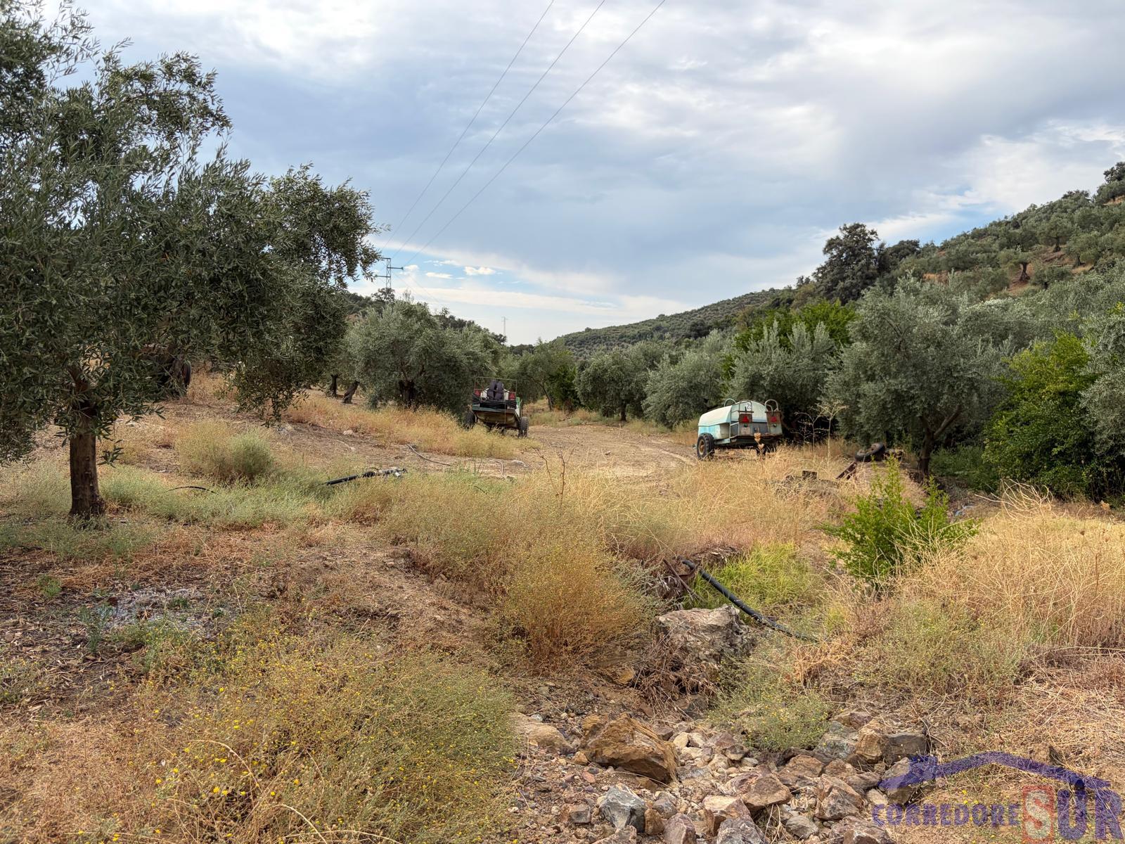 Venta de finca de recreo en Córdoba