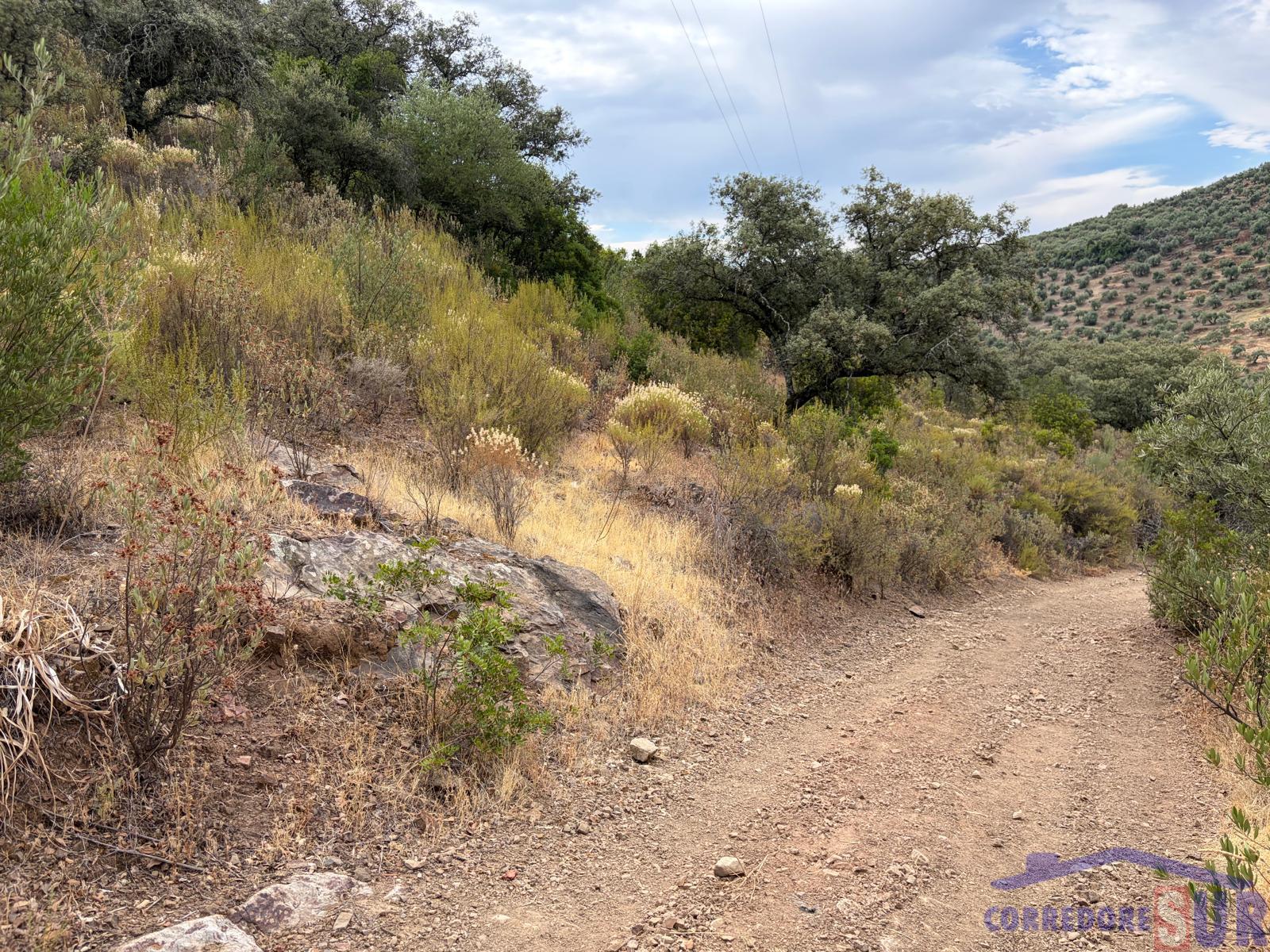 Venta de finca de recreo en Córdoba
