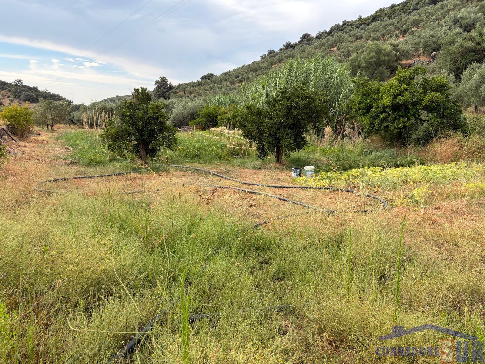 Venta de finca de recreo en Córdoba
