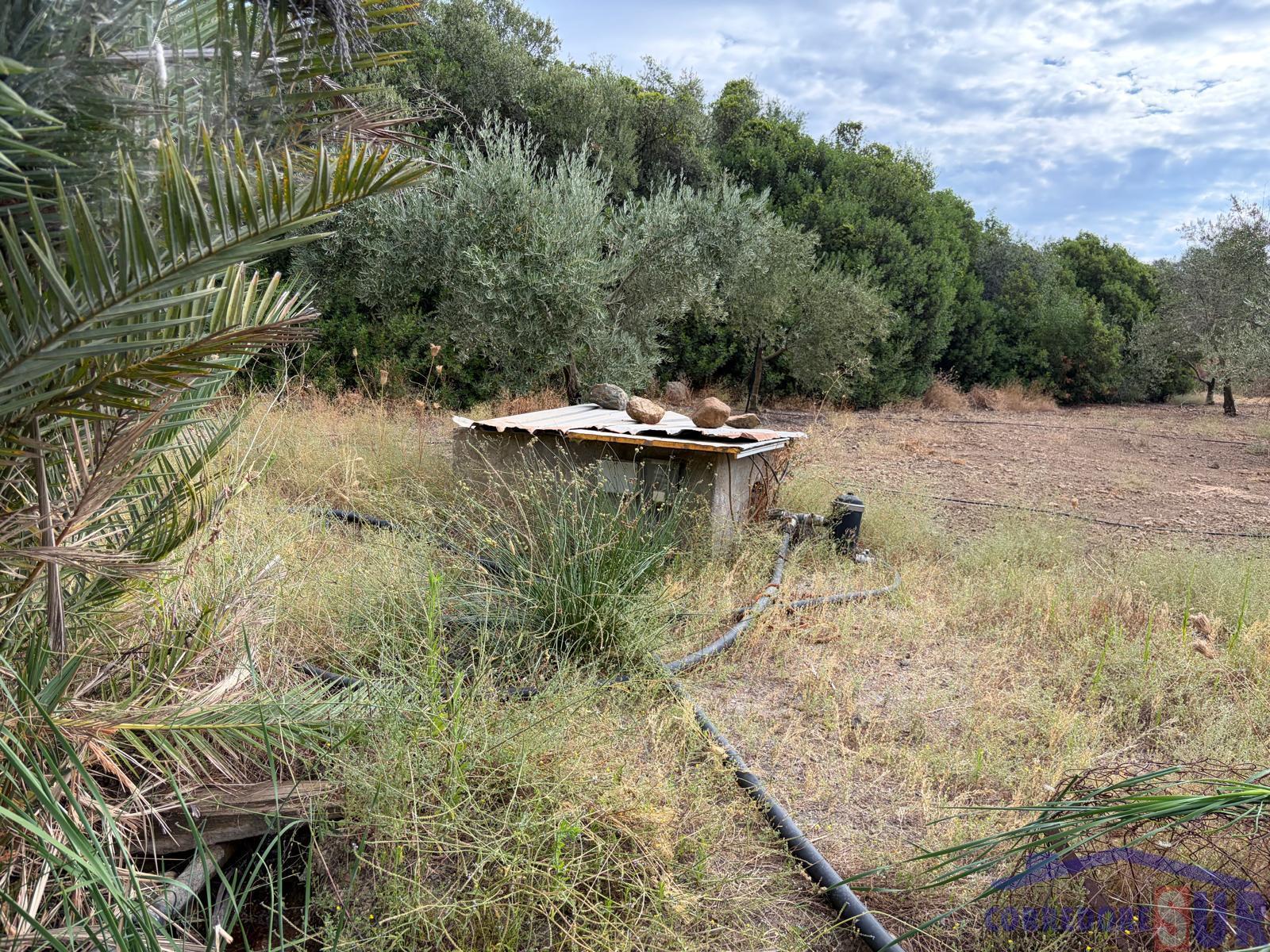 Venta de finca de recreo en Córdoba