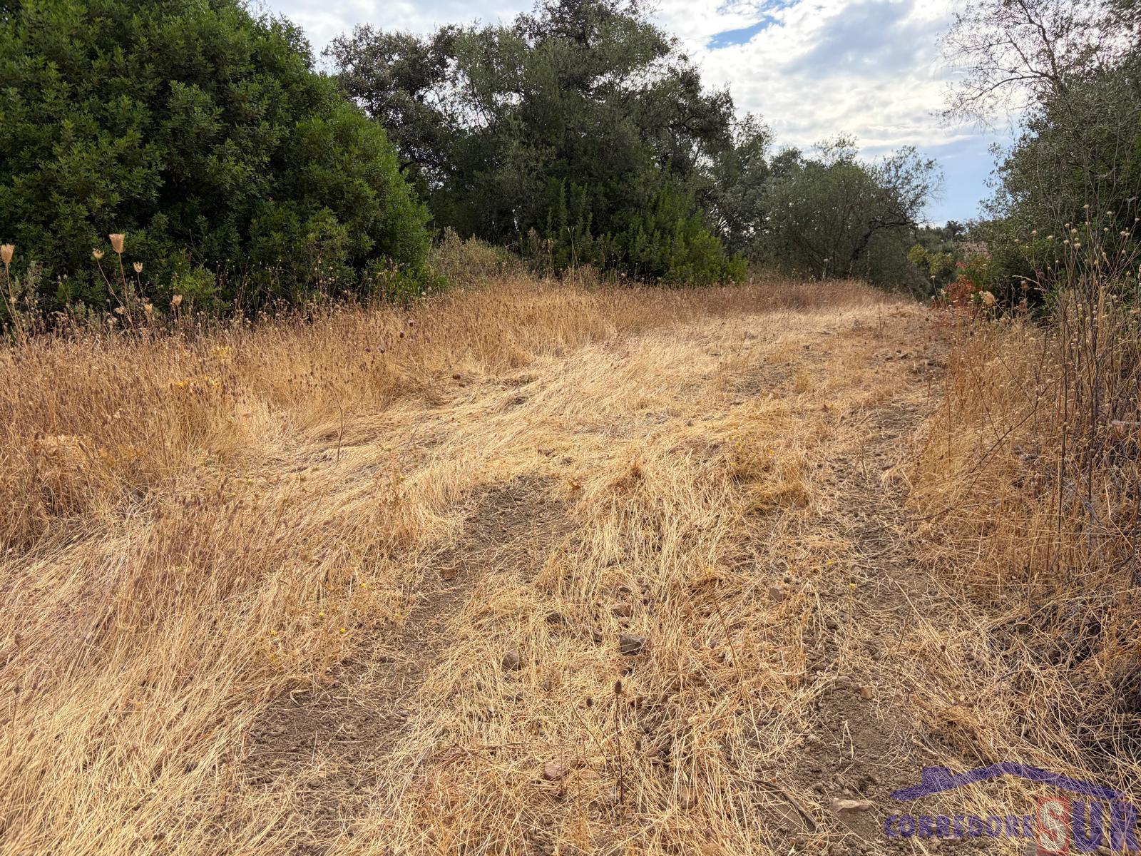 Venta de finca de recreo en Córdoba