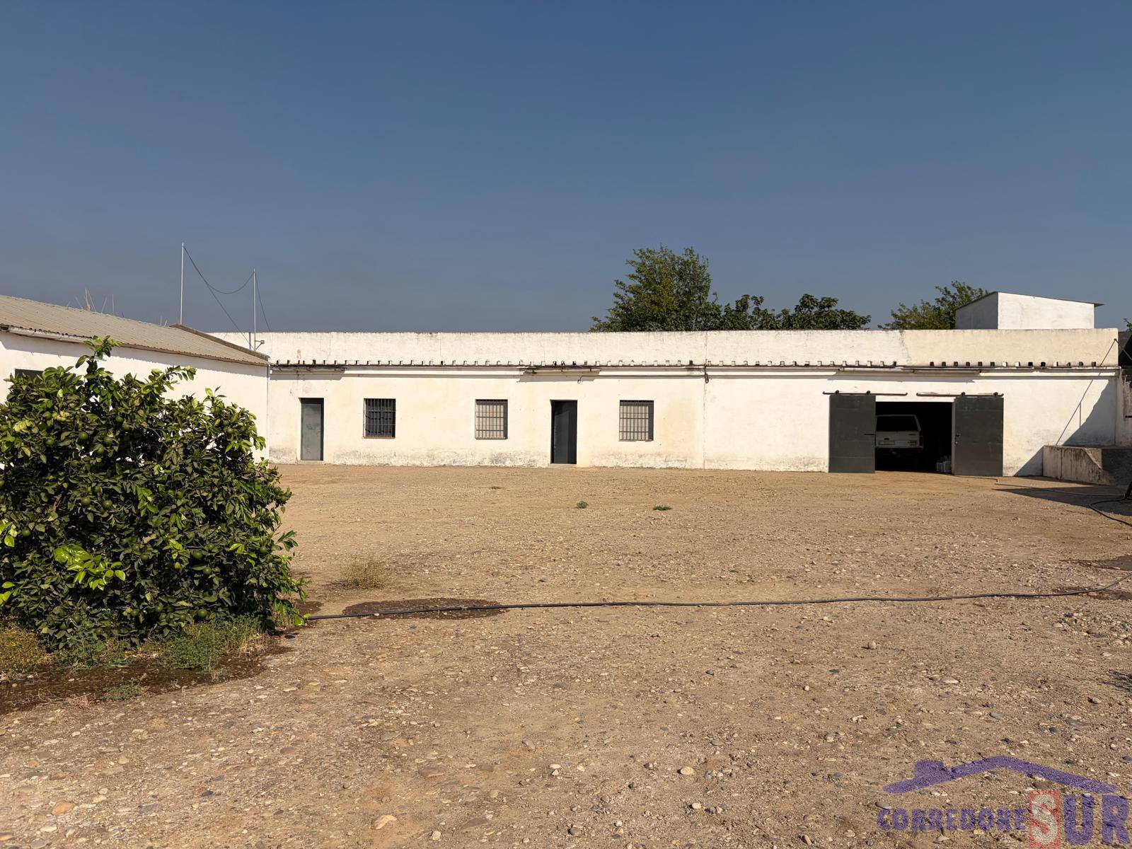 Venta de finca rústica en Córdoba