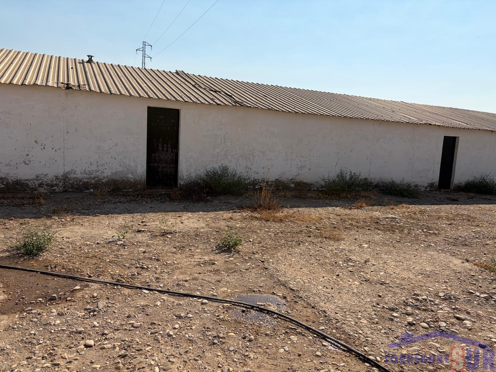 Venta de finca rústica en Córdoba