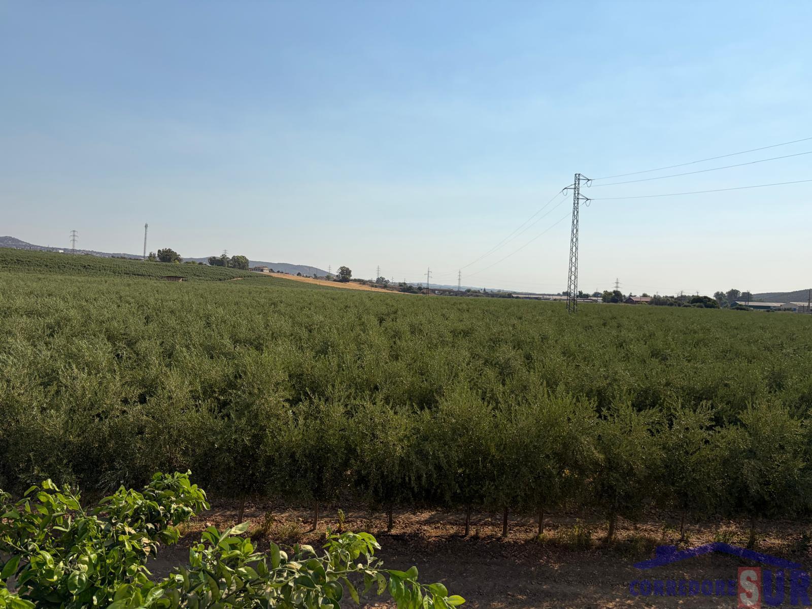 Venta de finca rústica en Córdoba