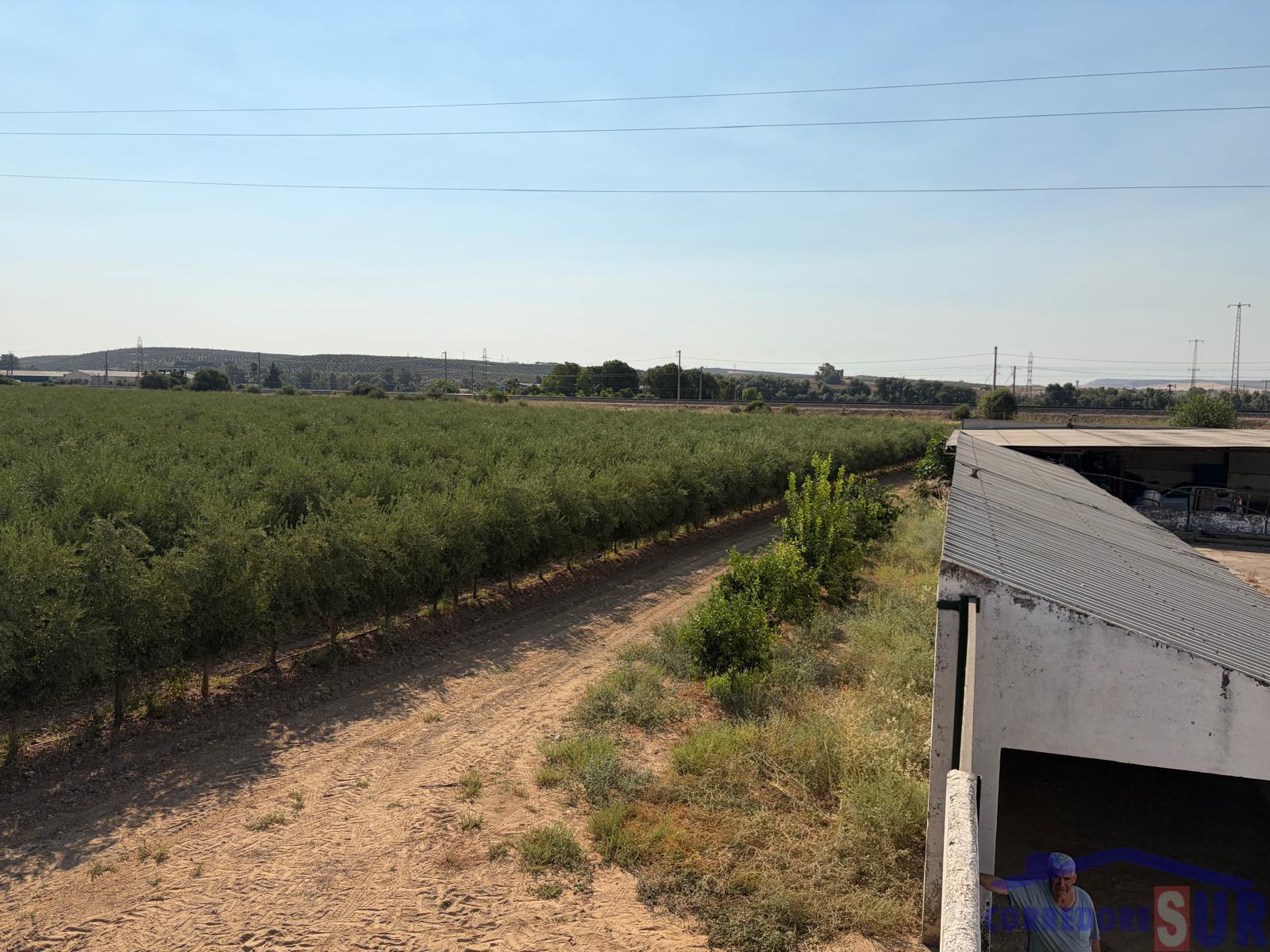 Venta de finca rústica en Córdoba