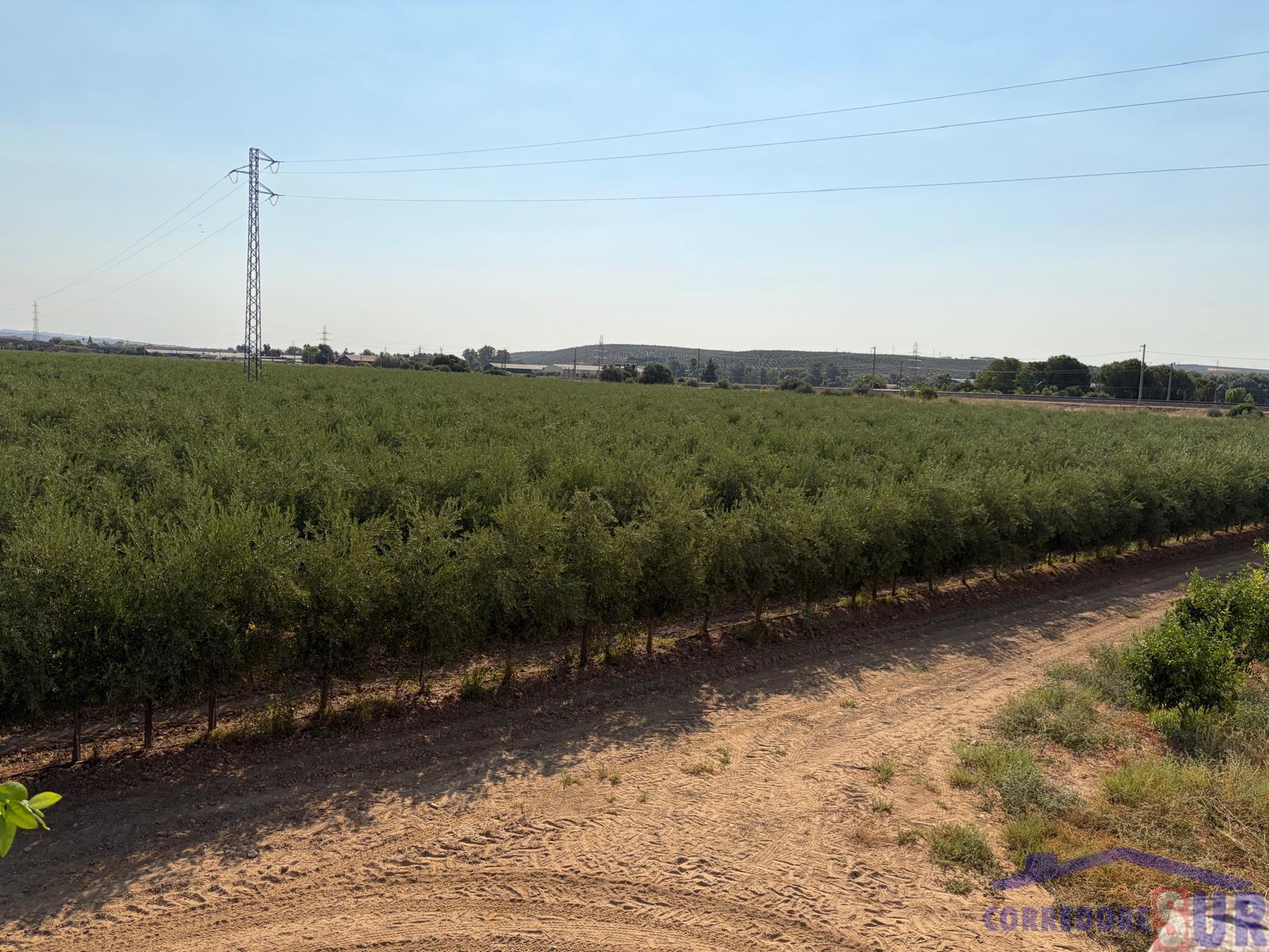 Venta de finca rústica en Córdoba