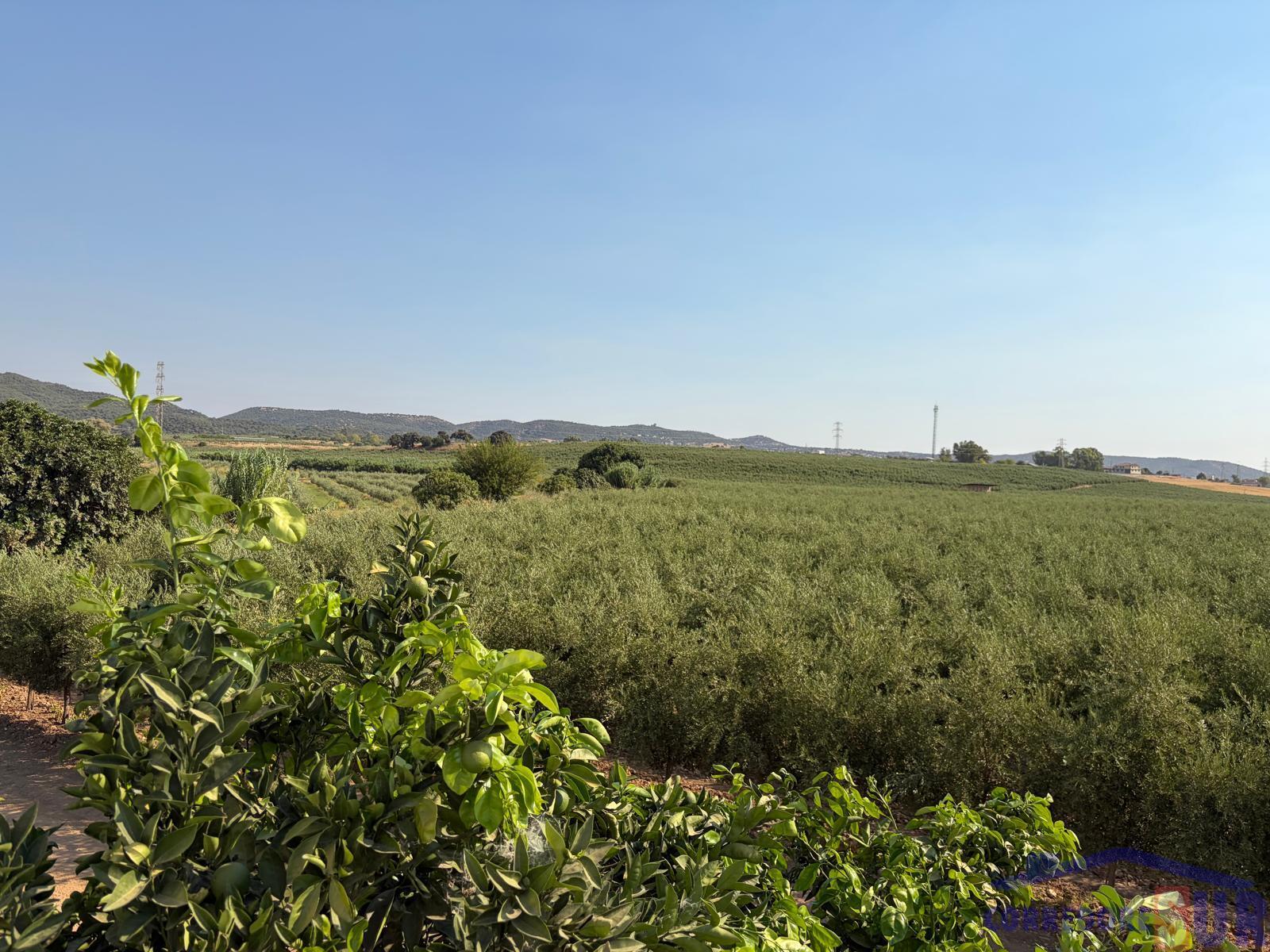 Venta de finca rústica en Córdoba